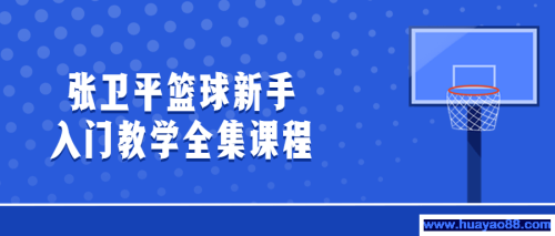 张卫平篮球新手入门教学全集课程